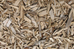 biomass boilers Torbrex